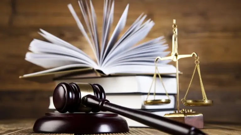 Multi-State Probation Services Provider w Proprietary Software #2059