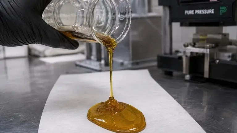 Cannabis Extraction Business