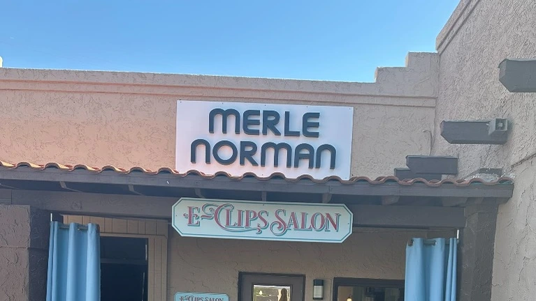 Established Merle Norman Cosmetics and Skincare Studio Franchise
