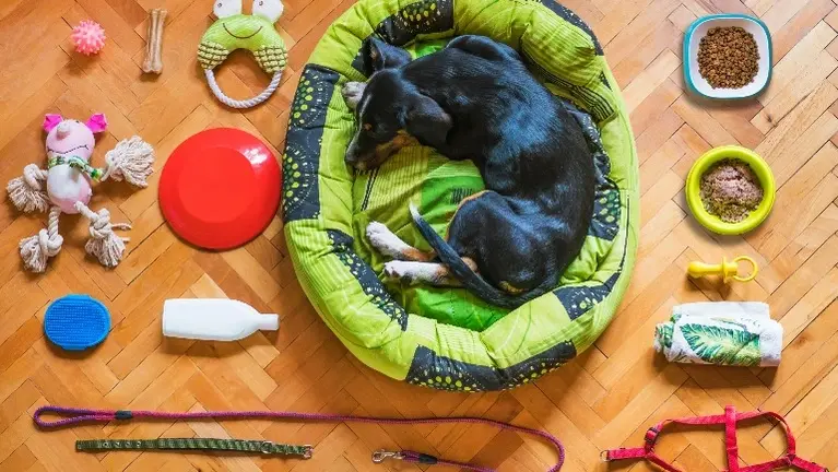 Turnkey Pet Supply Store – Extensive Inventory!