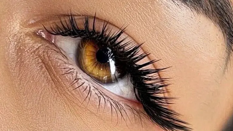 Ultimate Beauty Bar—Brows Behave, Lashes Flutter, and Confidence Soars