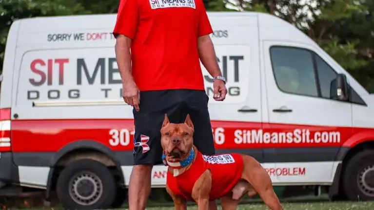 Established Dog Training Territory | $875K Peak Revenue