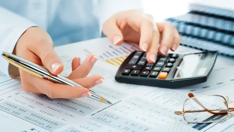 Established Niche Accounting & Financial Services Firm