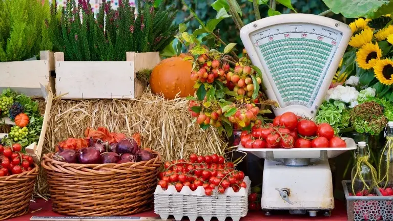 Organic Farm & Agritourism Retail Destination