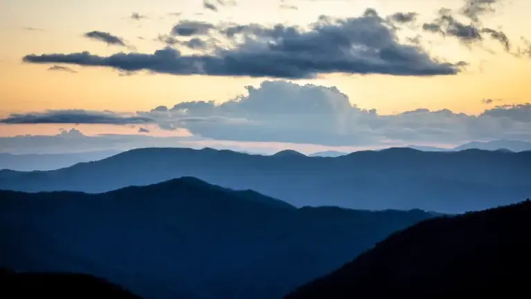 Relationship-driven CPA Firm In North Carolina With 40%+ Cah Flow