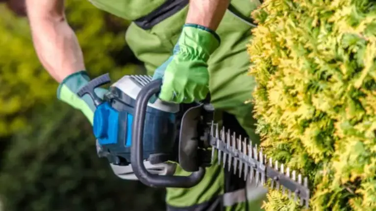Premium Landscape Business w/Diverse Clientele