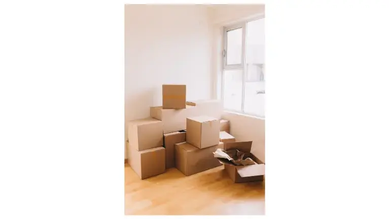Move Management Business