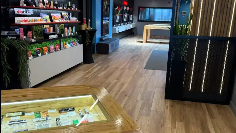 Profitable Cannabis Dispensary in Hudson County