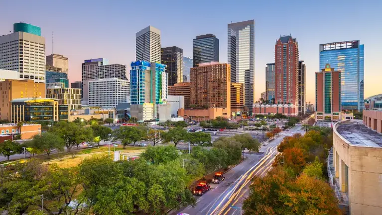 Single-Doctor Houston-Area Animal Hospital, $1.6M and Growing 20% a Yr
