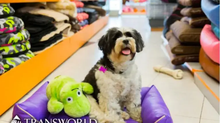Franchised Dog Grooming with Retail Store