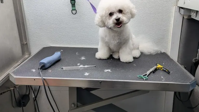 Mobile Grooming Station