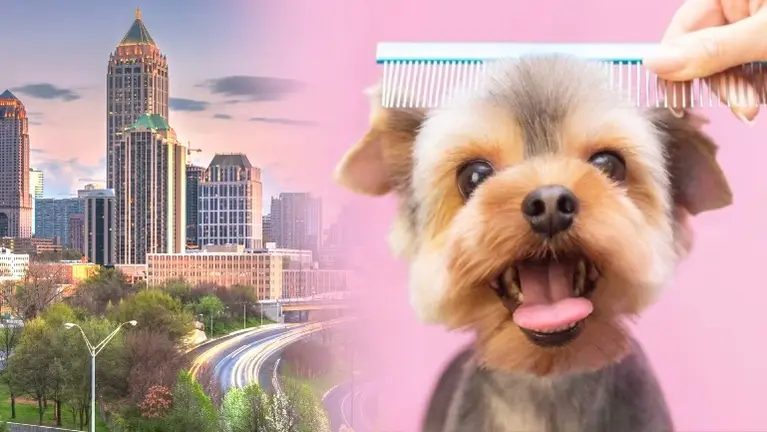 Turnkey Pet Grooming Business w/ Loyal Client Base