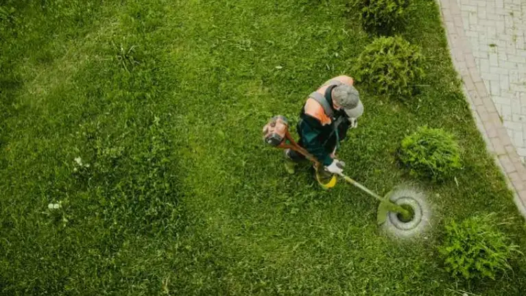 Robust 40-Year Full-Service, All-Season Landscaping Co with RE