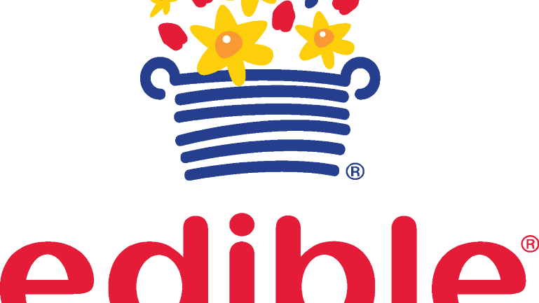 established-franchise-image