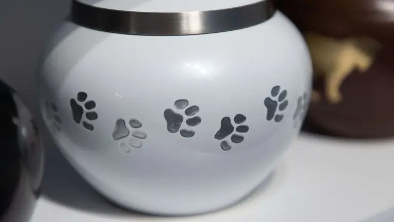 Pet Cremation Business for Sale
