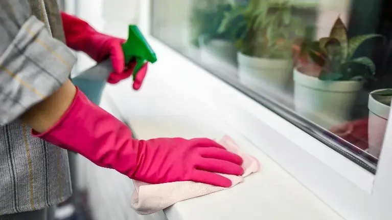 Established Home Cleaning Company with Team in Place