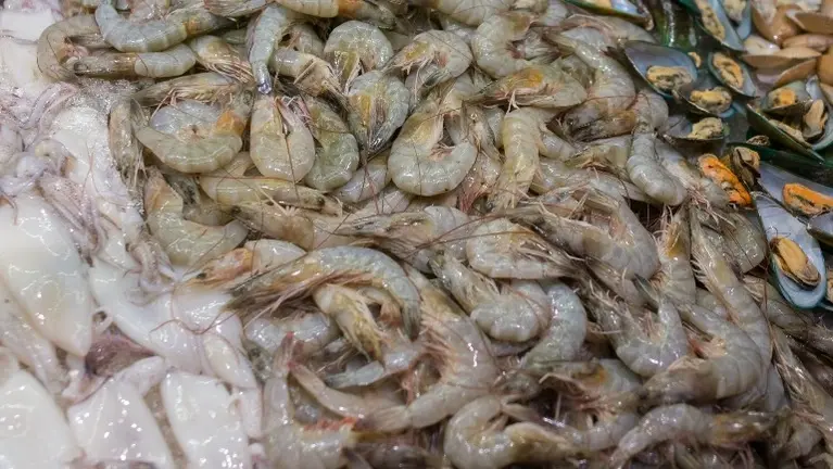 Seafood Distribution & Processing