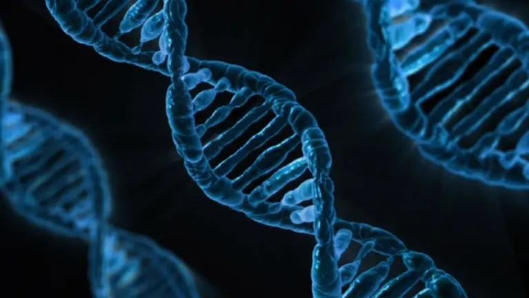 Relationship DNA Testing