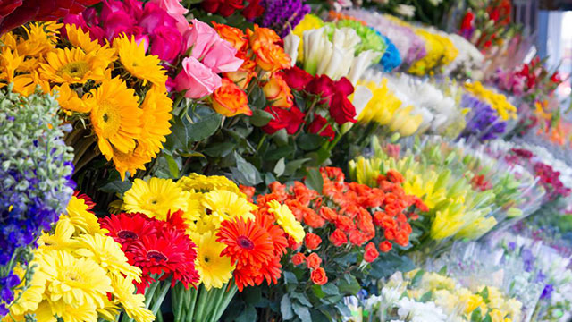 Floral Shop
