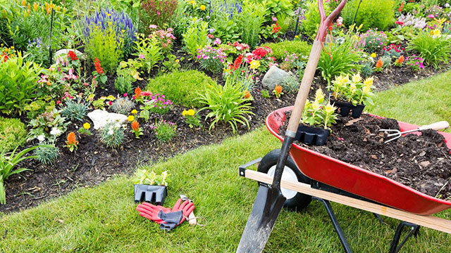 Well Established Full Services Landscaping Company