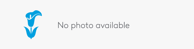 World Class Funeral home and real estate